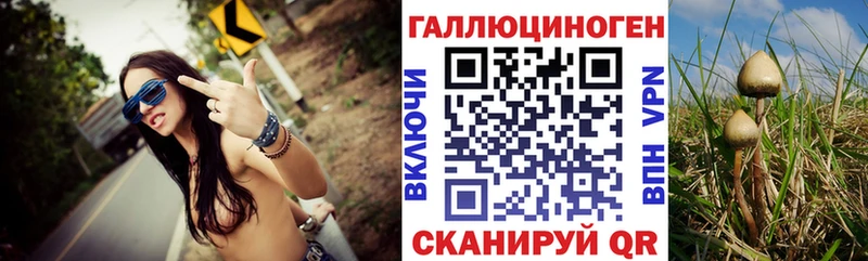 Псилоцибиновые грибы ЛСД  Воронеж 